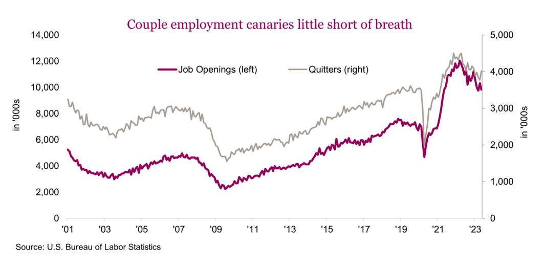 Employment Insights: Labor Market Still Strong - See It Market