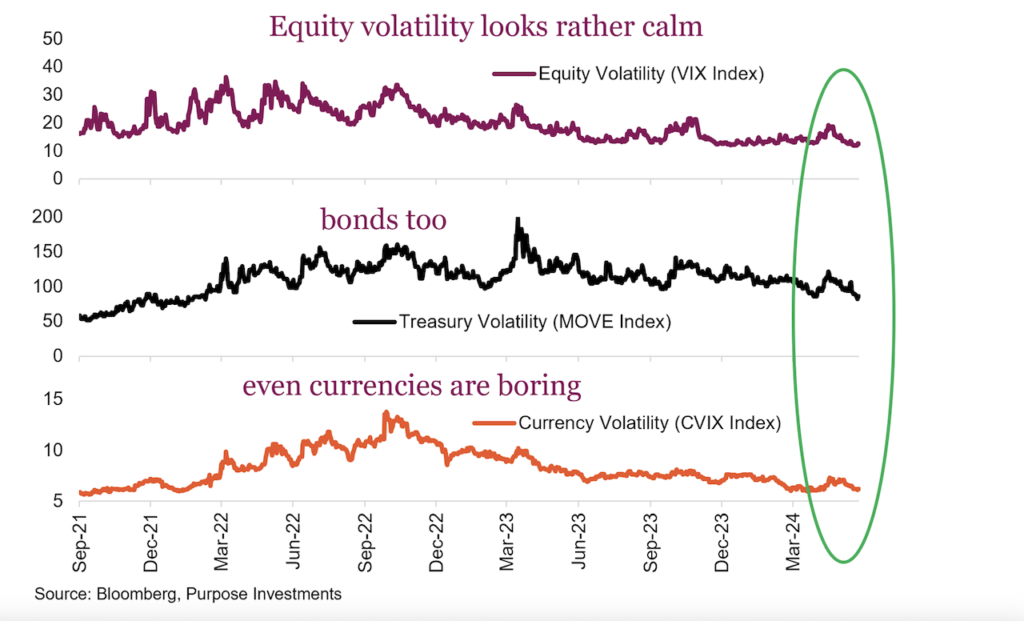 equity volatility calm first half year 2024 image