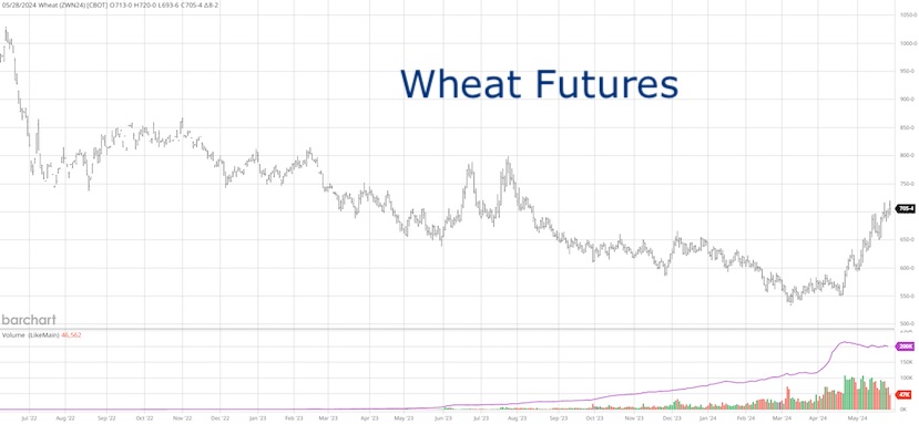 wheat futures trading rally bullish analysis chart may 28 2024