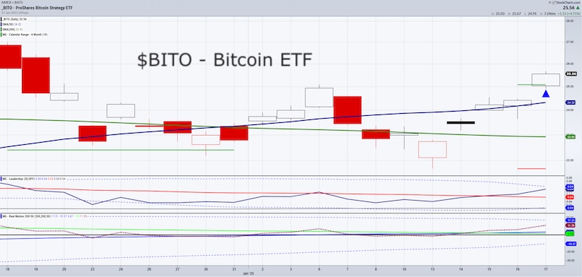 bito bitcoin etf stock market rally leader week january 20