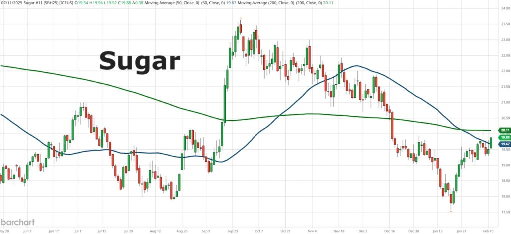 sugar futures price rally higher buy signal breakout investing chart february 12