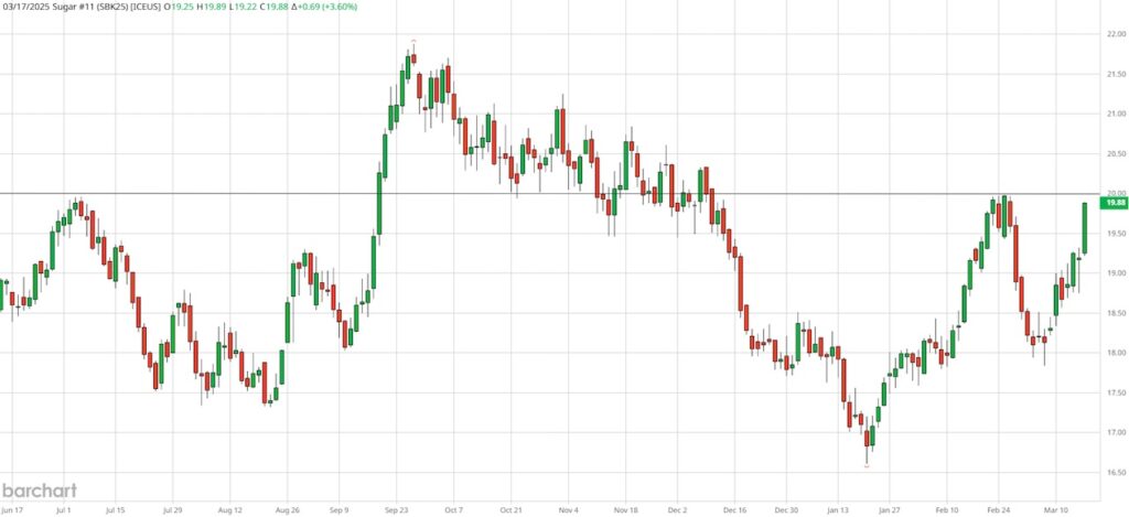 sugar futures price rally higher bullish trading investing chart march